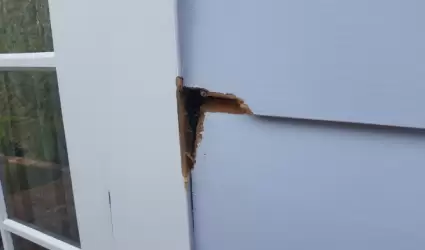  Wood Rot Repair in San Diego: Don’t Ignore Decay!
