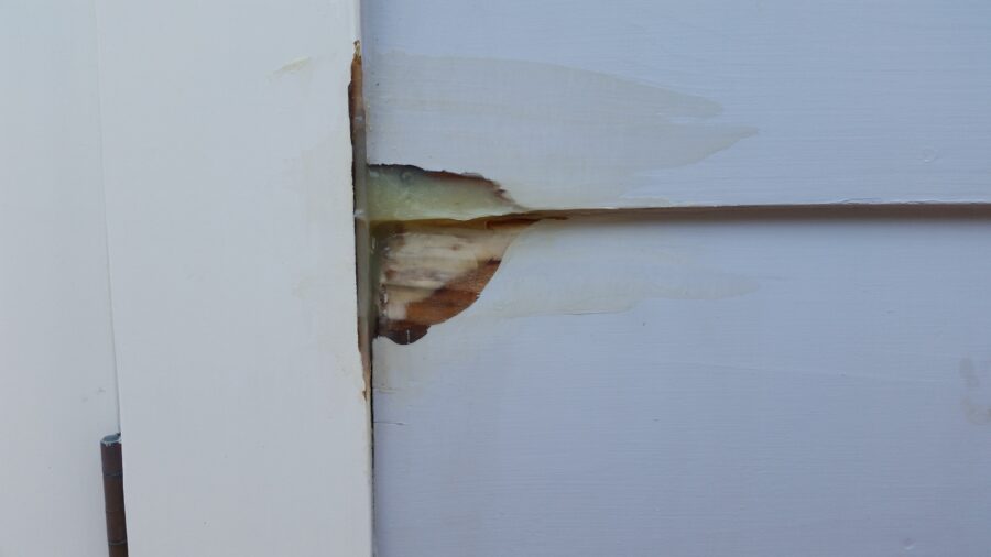  Repairing Dry Rot and Termite Damage in La Jolla