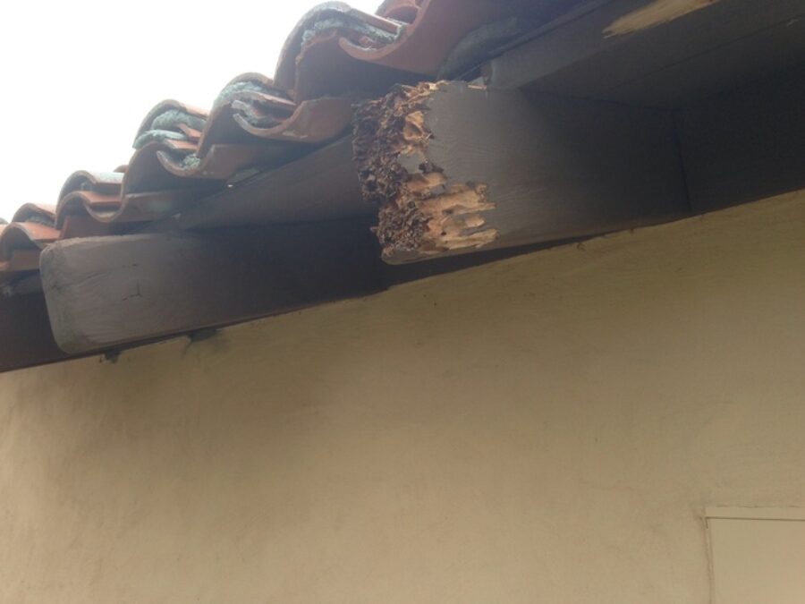  Exterior Painting and Repairing Termite Damage in Leucadia