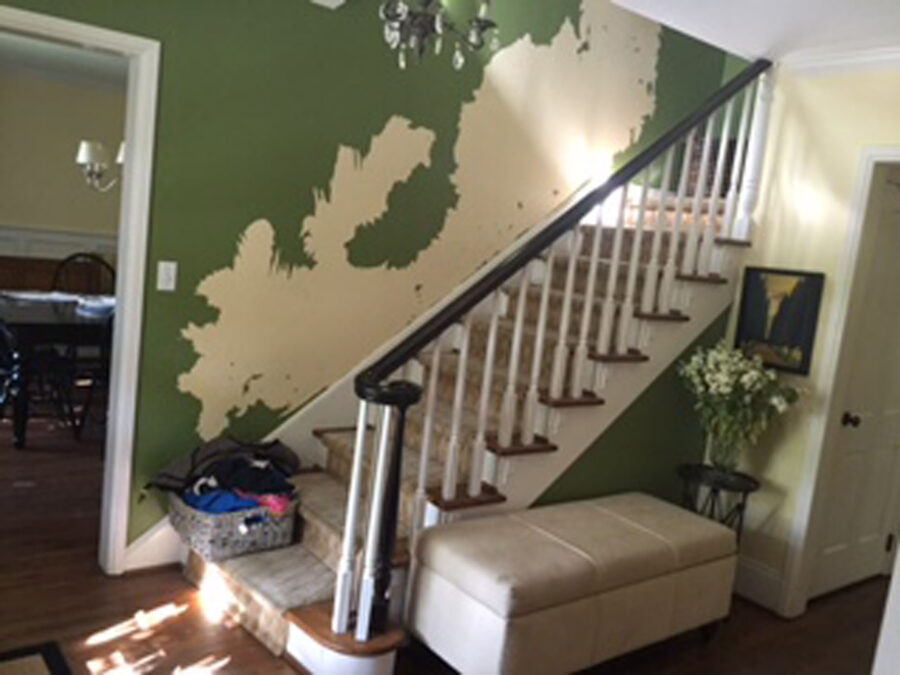  Interior Paint Repair and Replacement in Mission Hills
